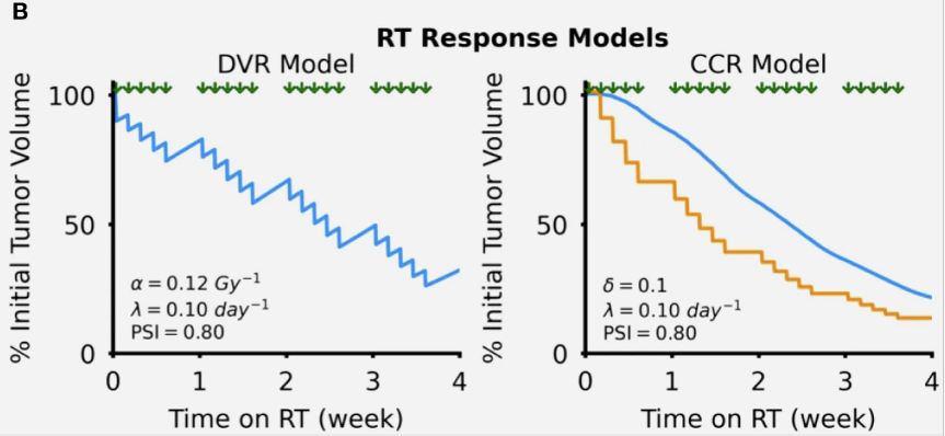 radiotherapy_modeling_preview_v2.png